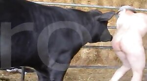 animal-fuck,animal-porn