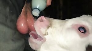 amazing-sex,beastiality